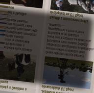 virtuální
