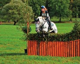 září 2014 všestrannost - MČR junioři, mladí jezdci, ZK - CNC*, šampionát 7letých koní více jak 4 000 položek najdete na