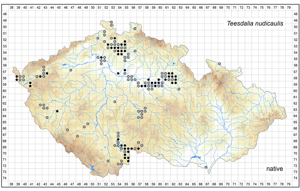 Distribution of Teesdalia nudicaulis in the Czech Republic Author of the map: Zdeněk Kaplan Map produced on: 05-05-2017 Database records used for producing the distribution map of Teesdalia