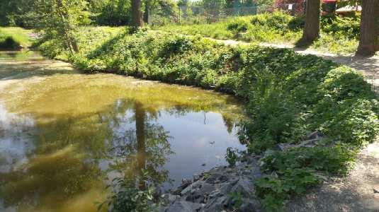 17 - Pohled z čelní hrázky rybníka Vodice III. na částečně rozvalené opevnění čelní hráze.