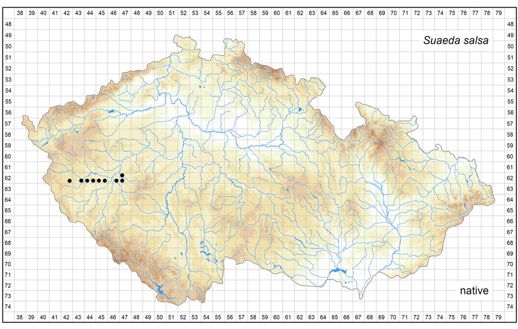 Author of the map: Michal Ducháček, Pavel Kúr, Zdeněk Kaplan Map produced on: 08-08-2017 Distribution of Suaeda salsa in the Czech Republic Database records used for producing the distribution map of