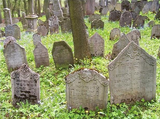 Ţidovský hřbitov Hřbitov je umístěn na Dolním městě, kde do poloviny 17. století bylo původní sídlo několika ţidovských obyvatel. Hřbitov byl pravděpodobně zaloţen na počátku 16. století. V prostoru pohřebiště se nachází přibliţně 900 barokních, klasicistních a novodobých náhrobků.