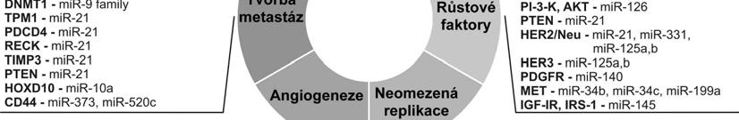 nádoru.