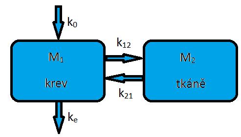 pro trávící trakt ze kterého je vstřebáváno léčivo do krevního oběhu (tj. druhého kompartmentu). Pro tento model platí rovnice 2.14,2.15: dm 1 dt = k 0 k 12 M 1 (2.14) dm 2 = k 12 M 1 k e M 2 (2.