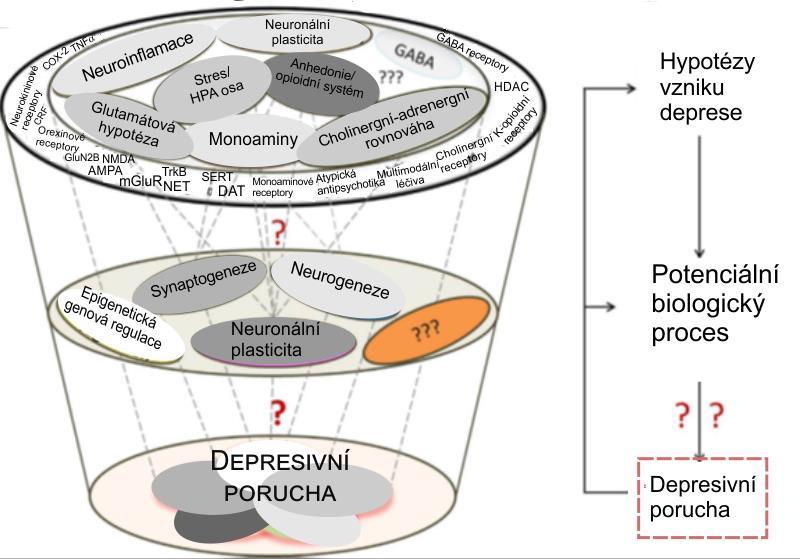 Příčinou depresivní poruchy mohou být i problémy s cholinergně adrenergní rovnováhou.