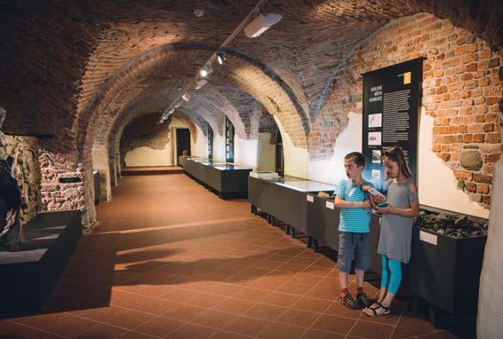 Olomouc do kapsy kultura 42 Olomoucká muzejní noc Akce olomouckých muzeí a galerií, noční prohlídky expozic s doprovodným programem. www.olomouckamuzejninoc.