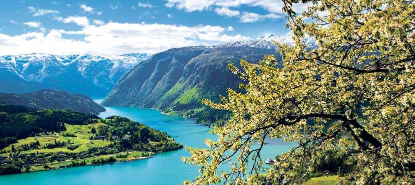 Norsko poznávací zájezd NORSKÉ FJORDY ODLET Z VÍDNĚ Klasický poznávací zájezd, jehož program je sestaven tak, aby zahrnul nejznámější místa Norska, která si většina lidí přeje vidět: hluboký