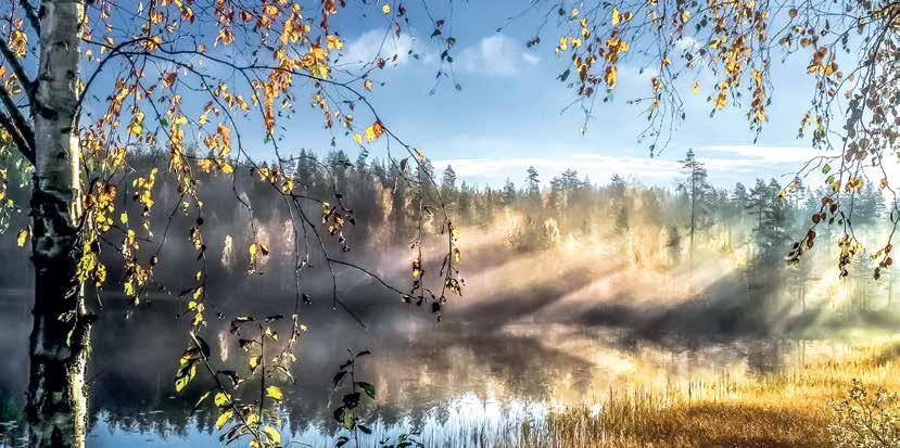 Finsko poznávací zájezd FINSKO 55 +, BAREVNÁ PALETA Časný podzim je snad nejkrásnějším obdobím, kdy lze jezernatou oblast Finska navštívit.