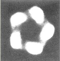 4: GABA A -receptorový