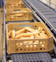 Penam patří Agrofert Holdingu podnikatele Andreje Babiše.