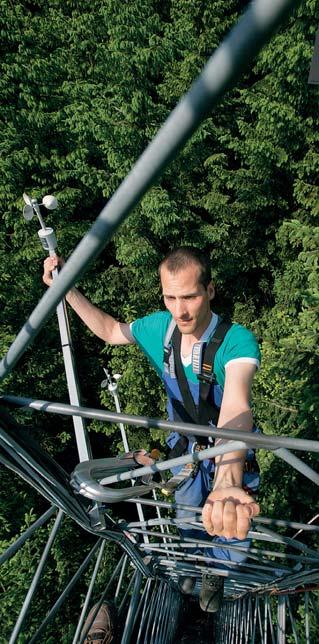 Jedním z oken do budoucnosti je Experimentální ekologické pracoviště na Bílém Kříži v Beskydech, které vzniklo již v roce 1986.