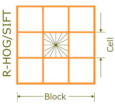 kde v je nenormalizovaný vektor obsahující všechny histogramy v daném bloku, v k je jeho k-norm pro k = 1,2 a e je malá konstanta (přesná hodnota je nedůležitá). (6) Obrázek 2.