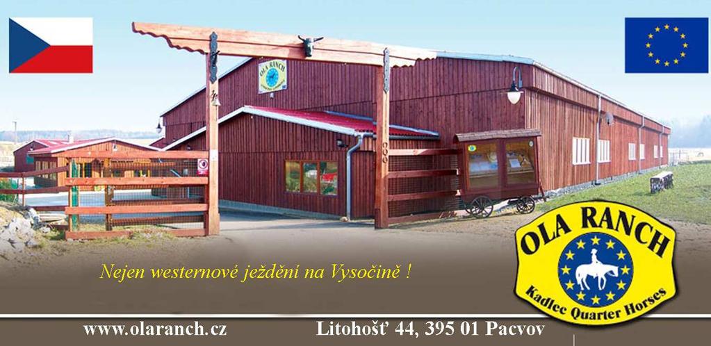 přičemž hřebce smí předvádět junior