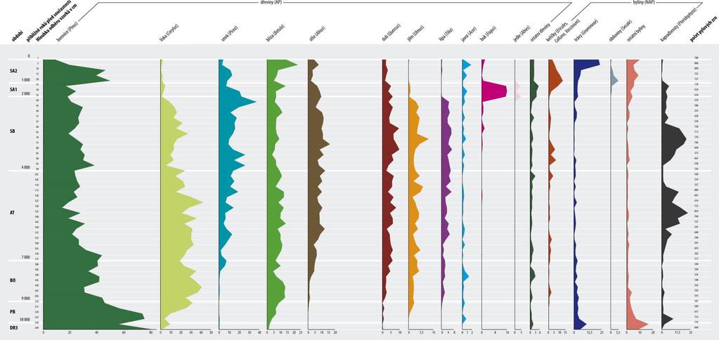 Jizerské hory Pylový diagram z Rašeliniště Jizery (Krauseová, Rybníčková, Rybníček 1996) (Zdroj: Jóža,Vonička a kolektiv,