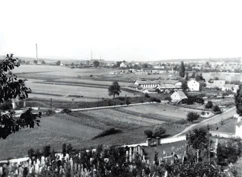 Pohled ze židovského hřbitova na ulici Bílkovu a městská jatka (40.