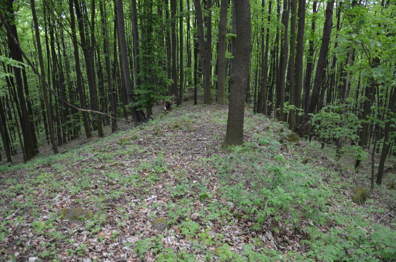 D) Lokalita hřbet Hřbet s plochým temenem se nachází 300 m severně od paseckého sanatoria v zalesněném území a je pokrytý málo mocnou vrstvou zvětralin a surových půd.