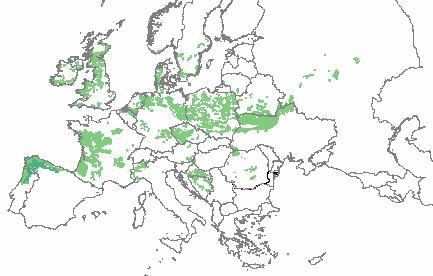 Map of the Natural Vegetation of Europe Kyselé doubravy Bohn &