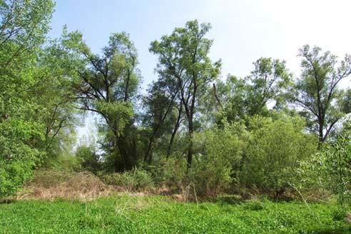 http://www.sci.muni.