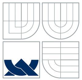 UHLÍKOVÝCH NANOTRUBIČEK V CEMENTOVÝCH KOMPOZITECH STUDY OF DISPERSION OF CARBON NANOTUBES IN CEMENT COMPOSITES