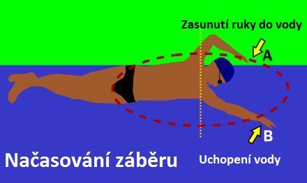 Pohon: Plaveme celým tělem, pohon vychází ze středu těla.