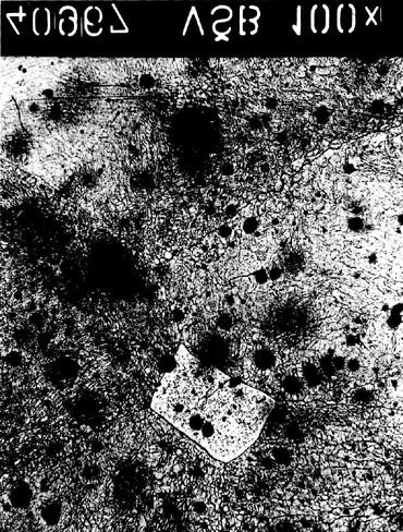General surface of specimen is1 Obr. 4.