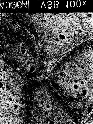 Degradation of surface by corrosion Obr.