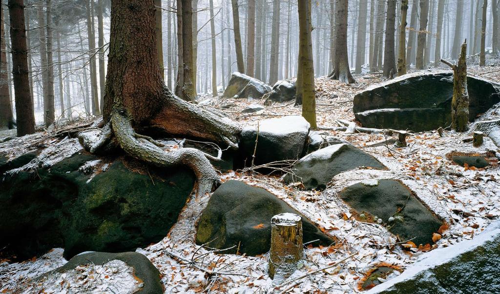 11 Listopad November November Listopad 1 2 3 4 5 6 7 8 9 10 11 12 13 14 15 16 17 18 19 20 21 22 23 24 25 26 27 28 29 30 Felix Památka zesnulých Hubert Karel Miriam Liběna
