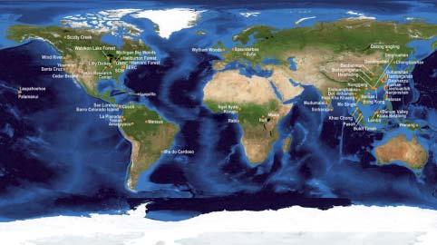 Mapa globální výzkumné sítě ForestGEO s lokalizací Žofínského pralesa jako reprezentanta evropských temperátních lesů středních poloh přirozenosti lesů jsme využili pro celorepublikové hodnocení