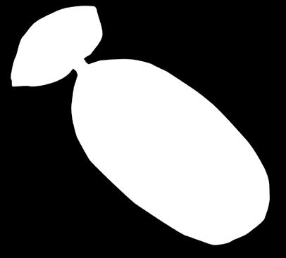 Gurmán 500g