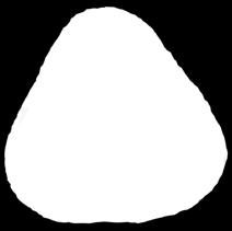 Bílý jogurt z Valašska