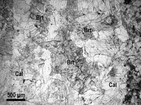 Tab. 1: Chemické složení analyzovaných karbonátů a barytu. Tab. 1: Chemical composition of analysed carbonates and barite.