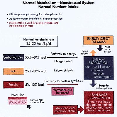 Effect of a Catabolic State With Involuntary Weight Loss on Acute and Chronic Respiratory Disease [http://cme.medscape.