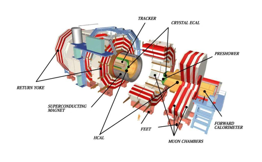 Obrázek 8: Detektor CMS. Obrázek získán z [13] 3.1.3 ALICE - A Large Ion Collider Experiment Tato část výzkumu je zaměřena na zkoumání srážek olověných jader.
