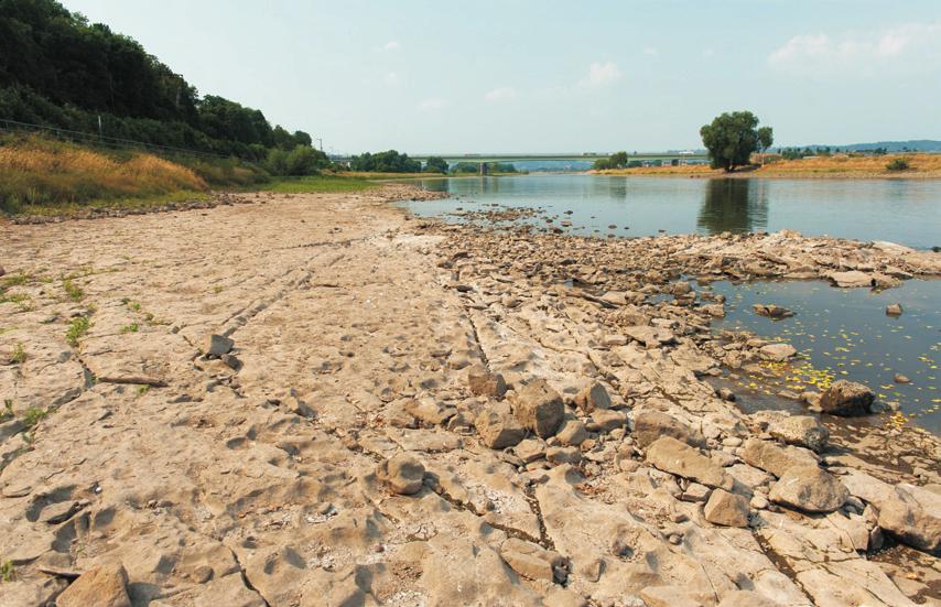 Většina srpnového úhrnu však pocházela z vydatných srážek z období od 14. do 19. 8. 215, kdy nejvyšší denní srážkové úhrny přesahovaly i 5 mm a místy dosáhly hodnoty až 8 mm.