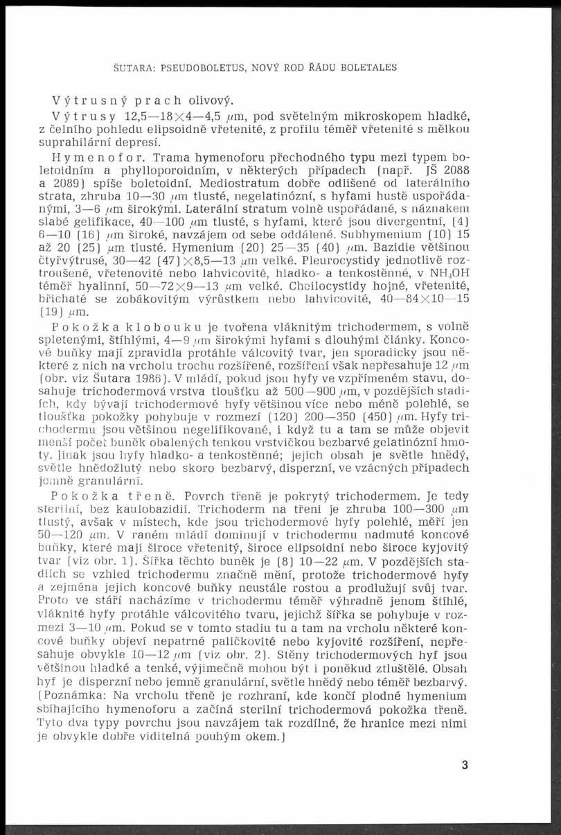 SUTARA: PSEUDOBOLETUS, NOVÝ ROD ŘÁDU BOLETALES Výtrusný prach olivový.