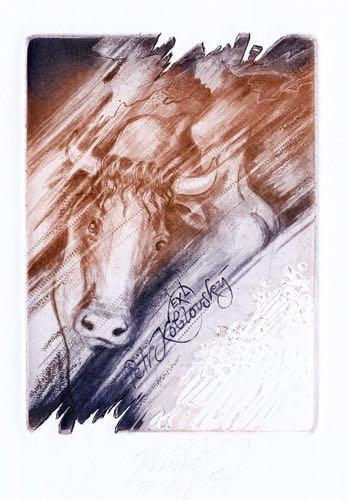 70 Petr Koblovský Europa