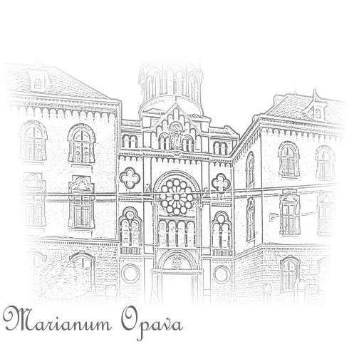 Stručná historie Mariana, p.o. Marianum vybudovala Kongregace Dcer Božské Lásky v letech 1907 1909 jako ústav pro lidi s postižením, pro nemocné lidi, pro děti ze sociálně slabých rodin.