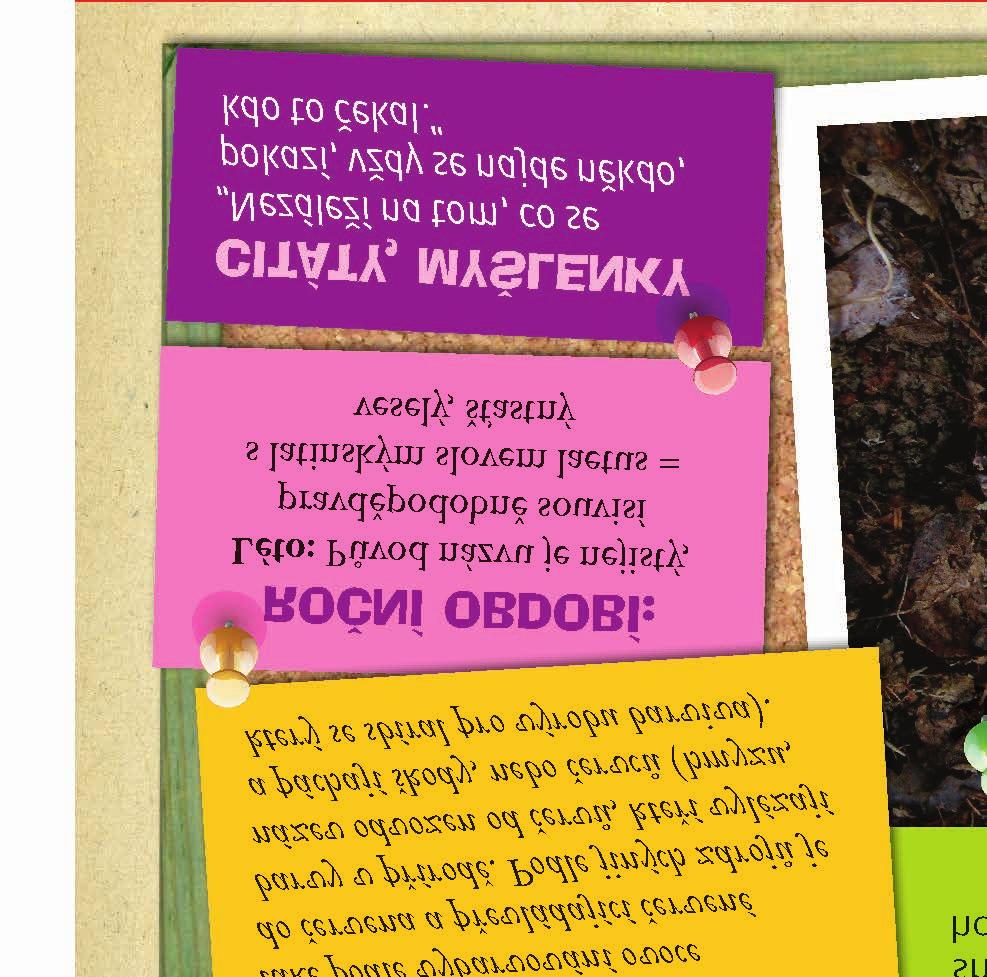 skupinky dětí ve věku 9-15 let.