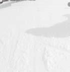 100 102 3M331