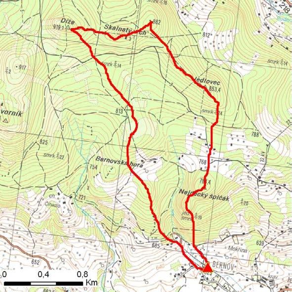 KONEČNÁ VERZE výstupy kompletního projektu ID plochy: 7269_2 Bernov : Obec: Nejdek ORP: Karlovy Vary Souřadnice GPS (ve stupních): N 5.32235 E 12.