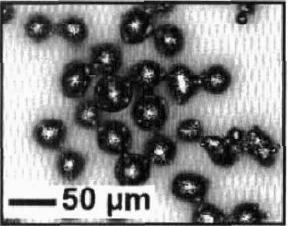 Influence of surface roughness skewness on rolling contact fatigue life,1992. VILLE, F.