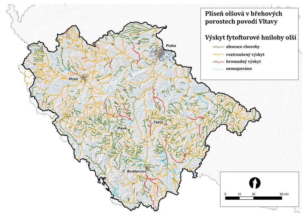 jednostranného porostu; celkové škody odhadované pro povodí Vltavy se pohybují v mld. Kč (Černý et al. 2016b,c). Obr. 2. Výskyt plísně olšové v tocích povodí Vltavy (převzato z Černý et al.