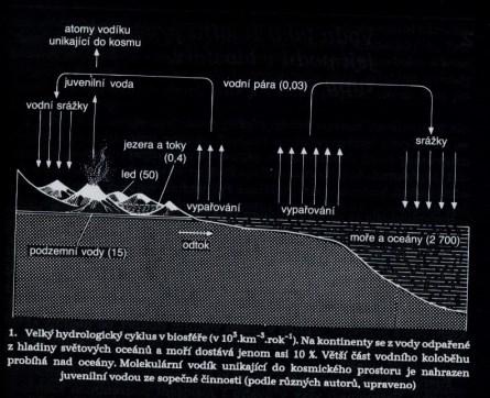 Zdržení vody v atmosféře 8,9 dne Základní fyzikálně-chemické vlastnosti vody Vody podzemní Vody povrchové 1) tekoucí 2) stojaté vody Molekula vody má tvar