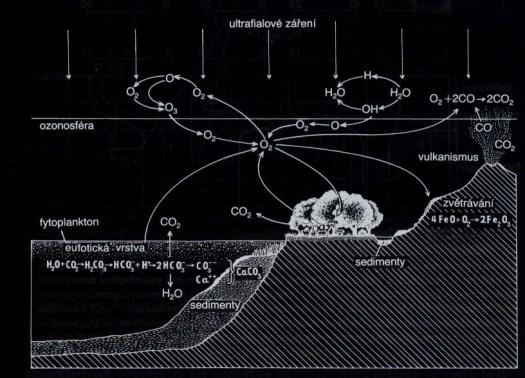 Koloběh kyslíku Koloběh uhlíku Atmosférický rezervoár Producenti, konzumenti, destruenti CO2 ve vodě dobře rozpustný Uhličitanový