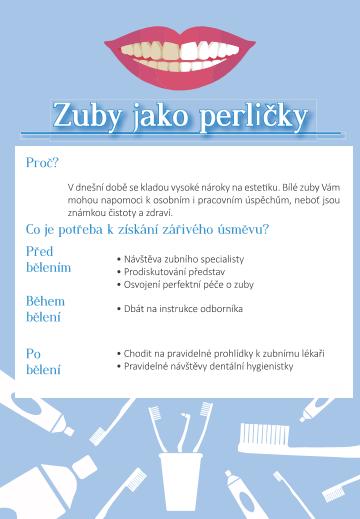 PŘÍLOHA č.