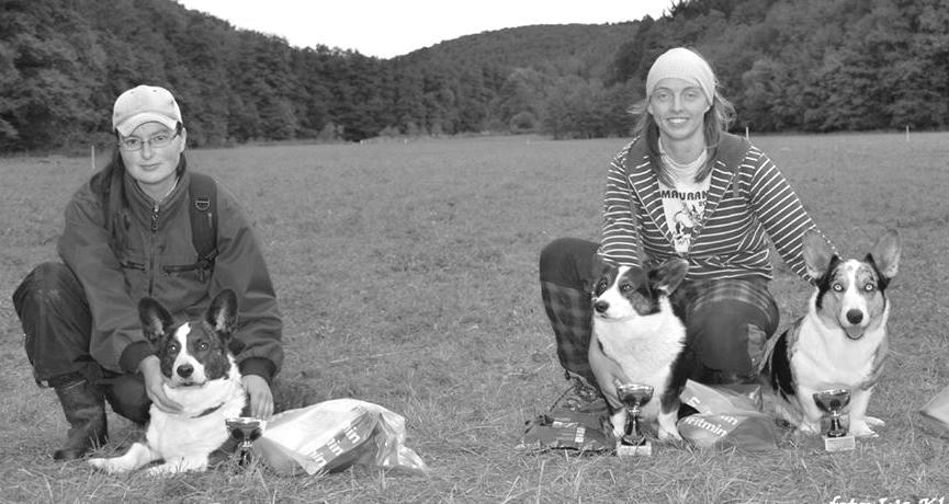 2013 rozhodčí: Jirí Tancer - kategorie welsh corgi: účast 8 cardiganů, žádný pembroke, dokončilo 5 psů 1. místo Gamay Corlan Gi (Zuzana Černá) 2.