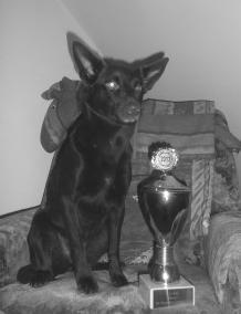 DOGDANCING 19. - 20.