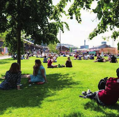 VE VNITROBLOCÍCH LOKÁLNÍ DOMINANTY GREEN IN THE