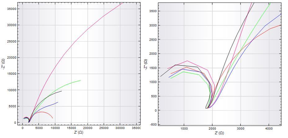 Obrázek 30 Elektrochemická impedanční spektroskopie u nanostrukturovaných elektrod (4h zelená, 8h fialové, 20h červená, 24h modrá, 48h černá) Na obr.