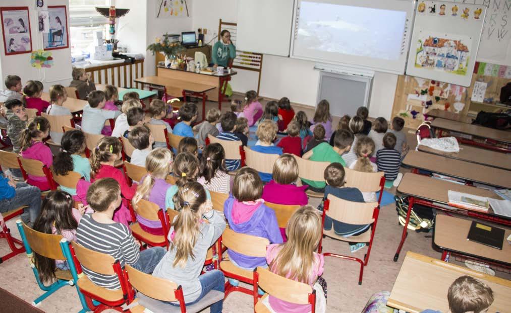 Program B: základní školy Tento program je přizpůsoben všem věkovým kategoriím žáků na obou stupních základních škol. Je rozdělen na tři věkové kategorie: 1.-2. třída,